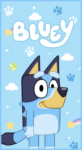 Club Social Bluey kit imprimible Club Social Bluey kit imprimible