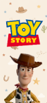 Pico Dulce Woody Toy Story kit imprimible Pico Dulce Woody Toy Story kit imprimible